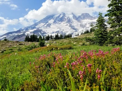 Mount Rainier National Park - Photo 4