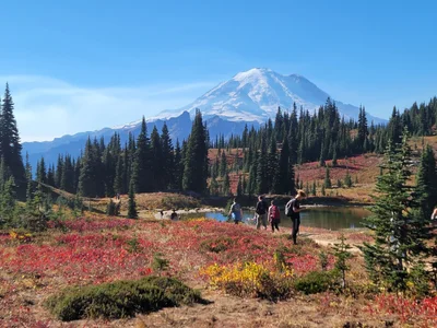 Mount Rainier National Park - Photo 5