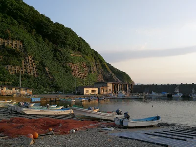 Sai - Photo 2
