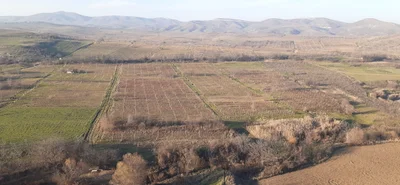 Berdavan - Photo 4