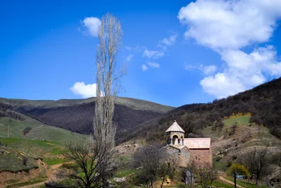 Ardvi - Photo 2