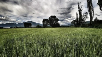 Almopia Municipality - Photo 3