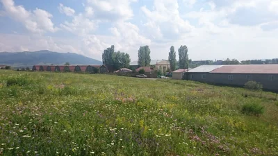 Jrambar - Photo 4