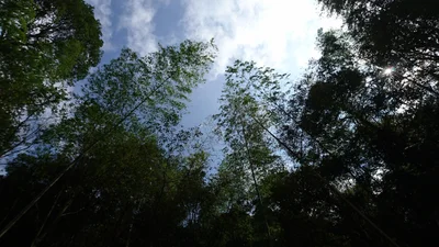 Shanghang - Photo 2