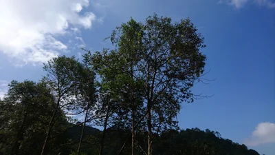 Shanghang - Photo 5