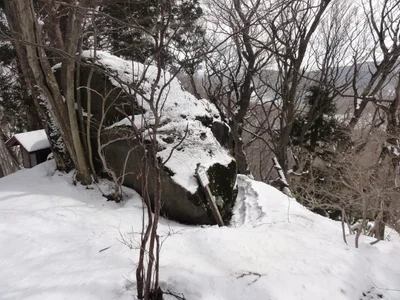 Shingo - Photo 2