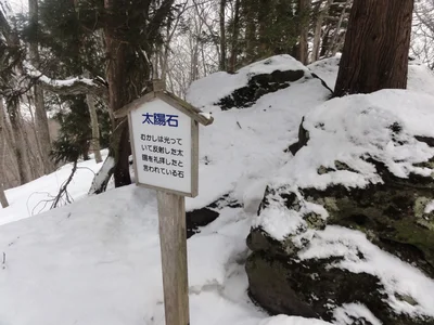Shingo - Photo 4