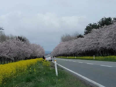 Ogata - Photo 2