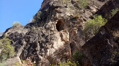 Areni Community - Photo 3
