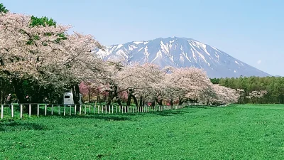 Shizukuishi - Photo 3
