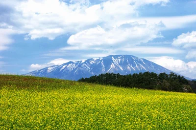 Shizukuishi - Photo 5