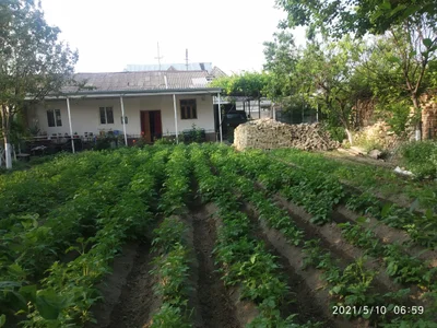 Ayni District - Photo 3