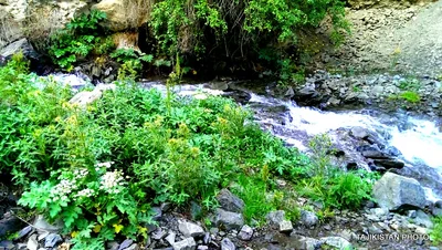 Ayni District - Photo 5