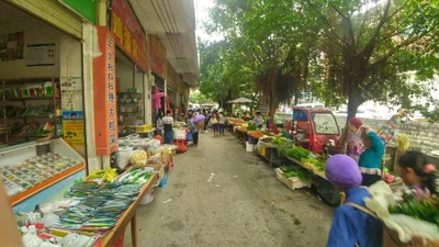Leye County - Photo 2