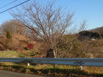 Taiwa - Photo 4