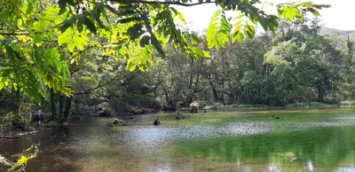 Taiwa - Photo 5