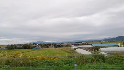 Murakami - Photo 3