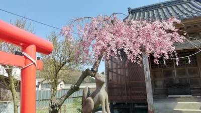 Murakami - Photo 4