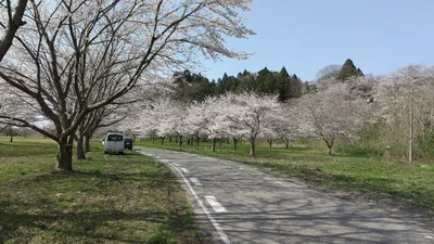 Murakami - Photo 5