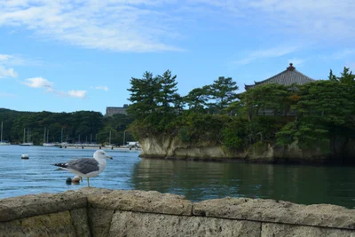 Matsushima - Photo 2
