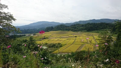 Asahi - Photo 2