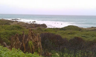 Minia - Photo 4