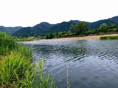 Jeongok-eup - Photo 4