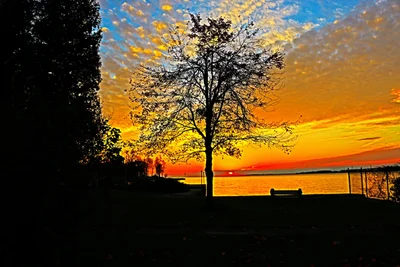 Cape Vincent - Photo 2