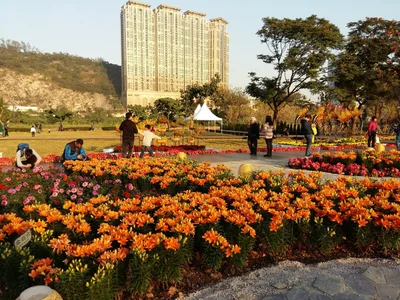 Taipa - Photo 4