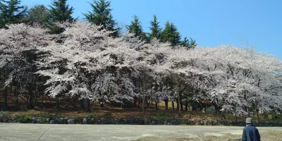 Cheongpyeong - Photo 5