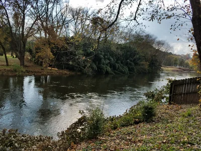 Ducktown - Photo 3