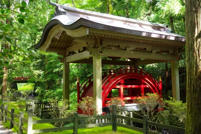 Yahiko - Photo 4