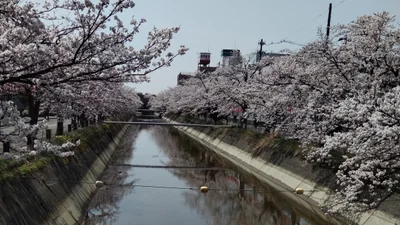 Nagaoka - Photo 3