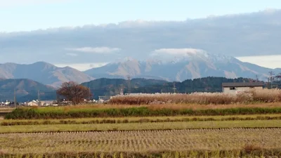 Kamo - Photo 2