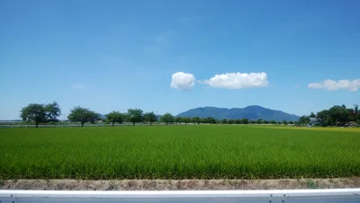 Tsubame - Photo 2