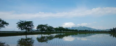 Tsubame - Photo 3