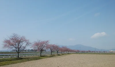 Tsubame - Photo 4