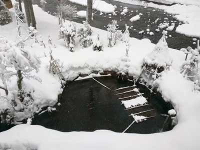 Sanjo - Photo 3