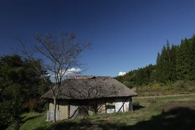 Shimogo - Photo 5