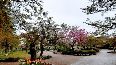 Joetsu - Photo 3