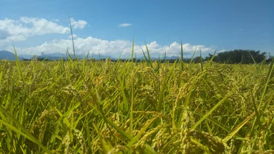 Tokamachi - Photo 4
