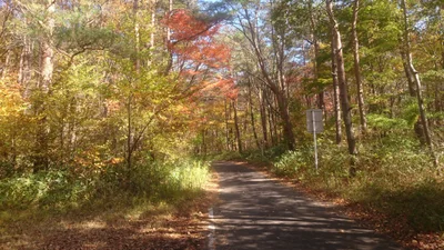 Nishigo - Photo 5
