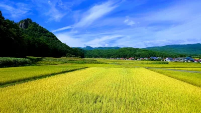 Minamiaizu - Photo 5