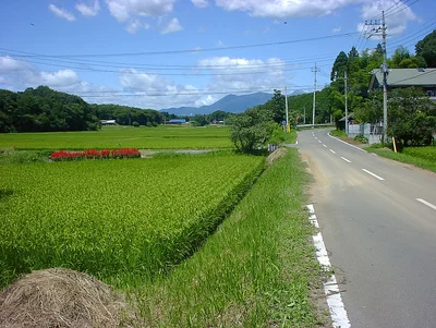 Nasu - Photo 4