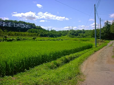 Nasu - Photo 5