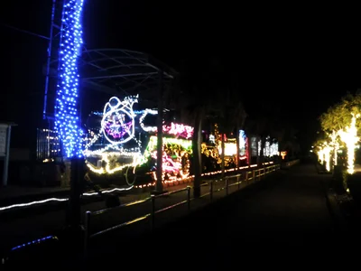 Shibushi - Photo 4