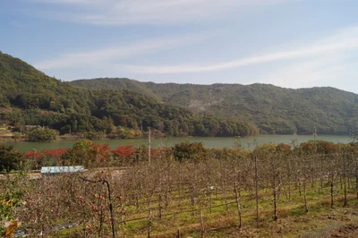 Yeongju-si - Photo 2