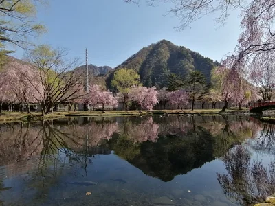 Yuzawa - Photo 5