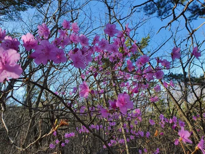 Oejungbang-ri - Photo 5