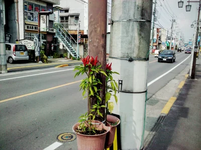 Ohtawara - Photo 2